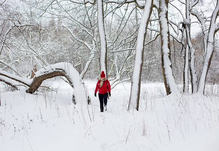 woman in a red jacket is walking in a snow-covered parkの写真素材