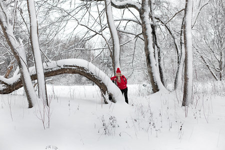 woman in a red jacket is walking in a snow-covered parkの写真素材
