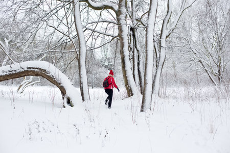woman in a red jacket is walking in a snow-covered parkの写真素材