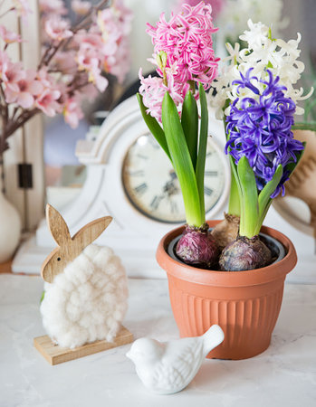 decoration of spring hyacinth in the easter timeの写真素材