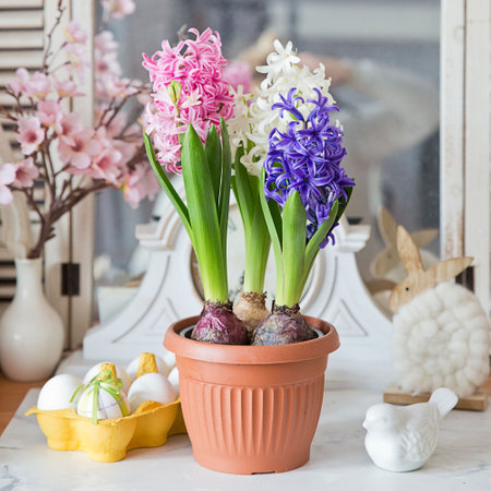 decoration of spring hyacinth in the easter timeの写真素材