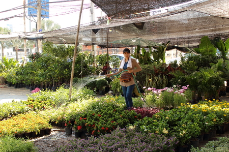 Pattaya City, Thailand - Mart 17, 2018: girl pours flowers and herbs in pots from the hose in the Asian garden market. Soft focusのeditorial素材