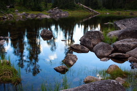 Reflection of the evening landscape in the water of the forest lakeの写真素材