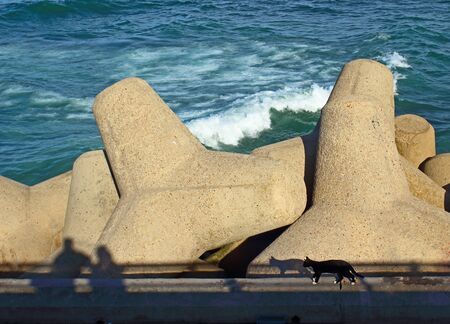 Powerful concrete shoreline reinforcement of the Atlantic Ocean in Casablanca, Moroccoの写真素材