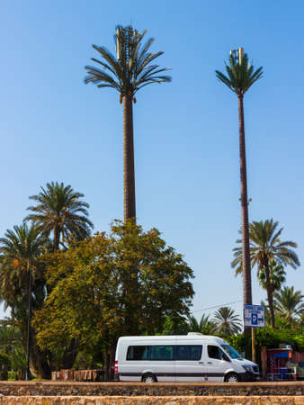 Marrakesh, Morocco - 16 October, 2019: Telecommunication towers disguised as a Date palm trees. Mobile telephony, wireless computer networking and other wireless communications or Base radio stationのeditorial素材