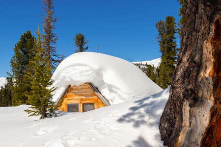 Picturesque winter landscape in sunny day. Coniferous forest with a snowbound wooden hut. House covered with snow up to the roof. Deep white pure snowdrifts in siberian taiga. Christmas backgroundの写真素材