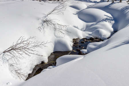 The spring stream flows among pure deep snowdrifts. Melting white snow on the river in springtimeの写真素材