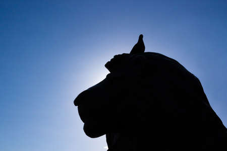 Black silhouette of a lion sculpture with a dove on his head on a blue backgroundの写真素材