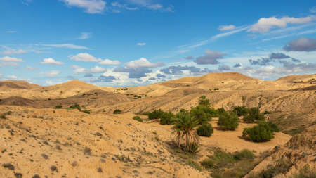 Landscape of mountain oasis in the Sahara desert, Tunisiaの写真素材