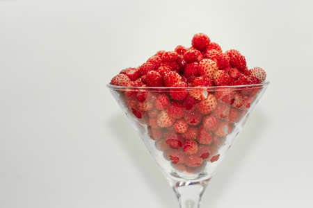 Close-up freshly red wild strawberry in a martini glass against light background. Selective focus