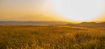 Fantastic sunny panoramic landscape with golden sunset over the summer field and hills ridge in warm...
