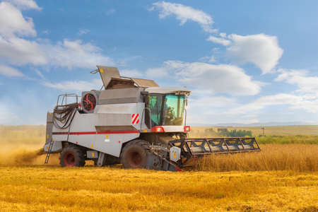 Agricultural machine harvester for harvesting ripe grain crops. Rotary combine working in the wheat field at the end of summer. Farming agricultural background.の写真素材