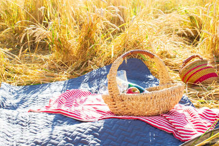 Picnic basket with a bottle of wine, apples and a pair of wine glasses on a red and white napkin and a blue quilt on a wheat field on a sunny summer dayの写真素材