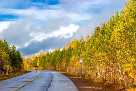 Turn on the road in a sunny autumn forest. Colorful Indian summer with golden birch trees and green pine trees with blue cloudy sky. Landscape in Siberiaの写真素材