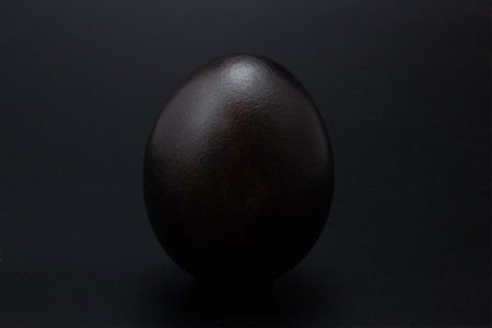 Black egg on a black background. The concept of coloring eggs for Easter. standing alone eggの写真素材