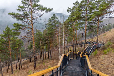 Long black metal staircase with wooden railing among pine trees on Torgashinsky ridge in Krasnoyarsk, Russia. Trekking mountain route. springtime landscape in foggy dayの写真素材