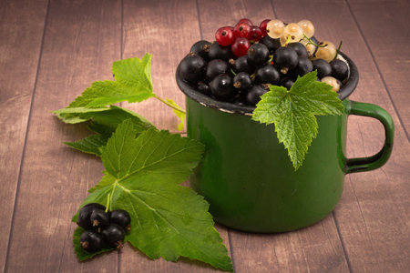 Full green enameled mug of black currant berries with green current leaves on wooden table. Rustic still life with freshness currants berriesの写真素材