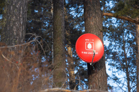 Krasnoyarsk, Russia - 4 February, 2023: Satellite television antenna mounted on pine tree. Red circular dish of MTS satellite TV. Multichannel television in the countryside. blurred foregroundのeditorial素材