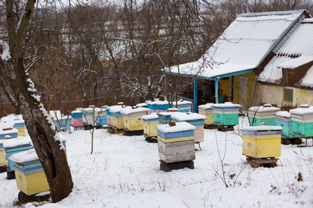 Bee hives in the apiary in winter garden under the snow. Homemade wooden houses for bees in russian villageの写真素材