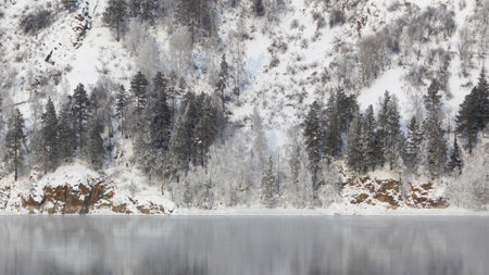 Landscape of silver smooth surface of the river and winter forest on riverbank. Pine trees on a snowy steep mountain slope. Siberian winter landscape with river and forestの写真素材