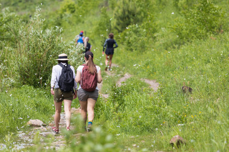 Krasnoyarsk, Russia - June 18, 2023: Two girls with backpacks walk along a green field path among flying butterflies at summer day. View from the back. Blurred foregroundのeditorial素材