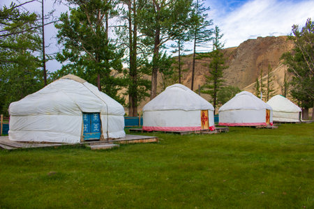 Nomad yurts on summer green steppe at the foot of the Altai Mountains, Russia. Doors of the yurts...