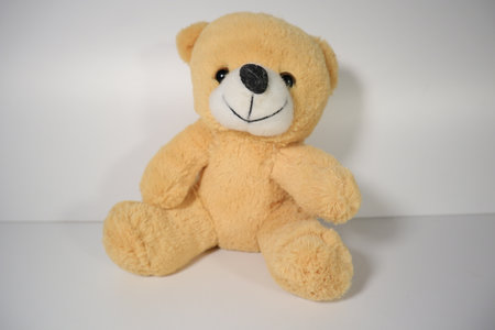 Teddy bear on white background with soft shadow and copy space.の写真素材