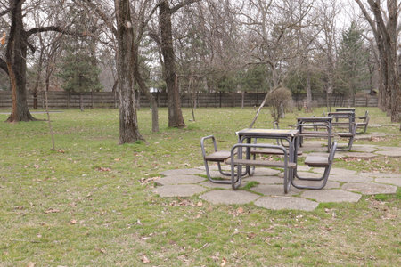Wooden tables and chairs in a park in the early spring.の写真素材