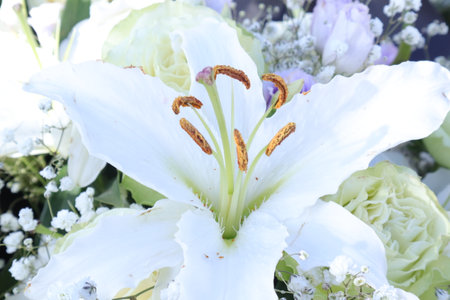 White lily in a bridal bouquet at a wedding ceremonyの写真素材
