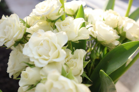 White roses in a bridal bouquet. Close-up.の写真素材