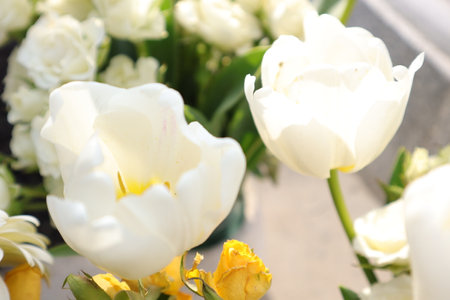 White tulips in a bouquet on the background of flowers.の写真素材