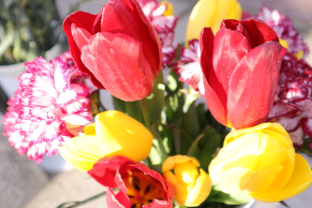 A bouquet of tulips in a vase on a sunny dayの写真素材