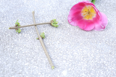 pink tulip on the white marble background with space for text  and a Christian cross made of twigsの写真素材