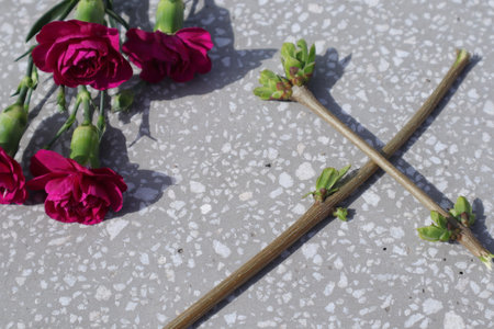 Carnation and a Christian cross made of twigs. Selective focus.の写真素材