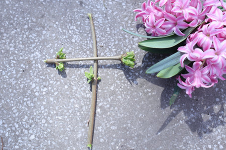 pink hyacinth in the garden with cross on concrete backgroundの写真素材