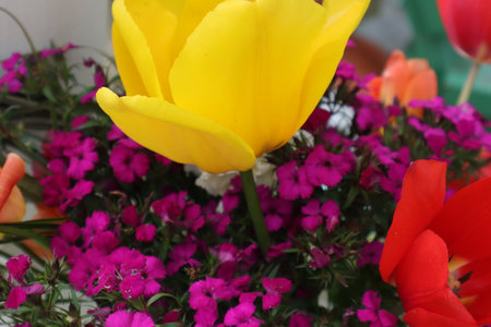 Yellow tulip and purple phlox in a vase.