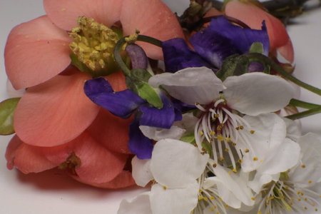 Bouquet of spring flowers on a white background, close-upの写真素材
