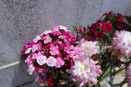 Bouquet of carnation flowers on a stone wall background.の写真素材