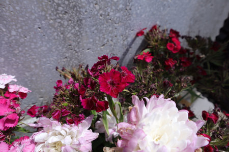 Bouquet of red and pink carnation flowers in a cemeteryの写真素材