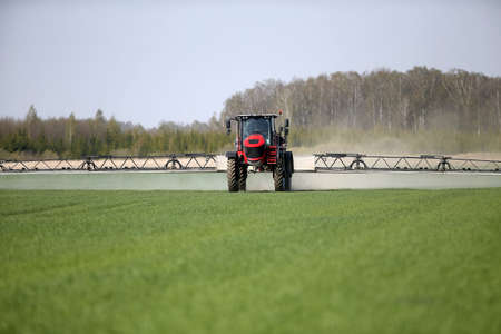 Tractor spraying wheat field with sprayer