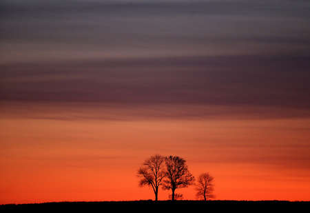 Natural orange background - sunset. Lithuaniaの写真素材