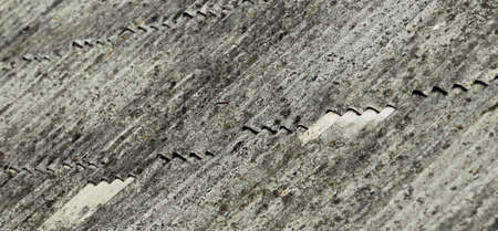 Old slate roof covered with moss and dry branches. Lithuania
