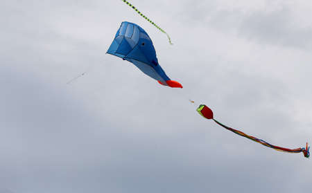 Various kites flying in the blue sky at the kite festival, Zapyskis, Lithuaniaの写真素材