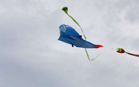 Various kites flying in the blue sky at the kite festival, Zapyskis, Lithuaniaの写真素材
