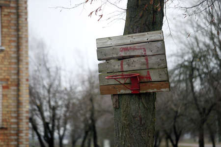 Old and rusty basketball hoop with tangled net, on an old wooden backboard. Lithuania