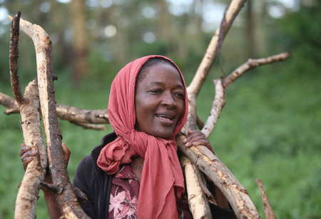 Portrait of a smart African woman smiling, Tanzaniaのeditorial素材
