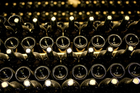 Basement rack with lots of dusty wine bottles. Sparkling wine production technology. Argentina