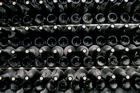 Basement rack with lots of dusty wine bottles. Sparkling wine production technology. Argentina