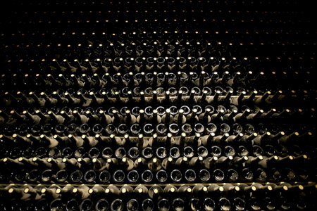 Basement rack with lots of dusty wine bottles. Sparkling wine production technology. Argentina