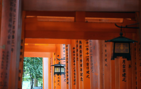 The red torii gates walkway path at fushimi inari taisha shrine the one of attraction landmarks for tourist in Kyoto, Japan 11 14 2019のeditorial素材
